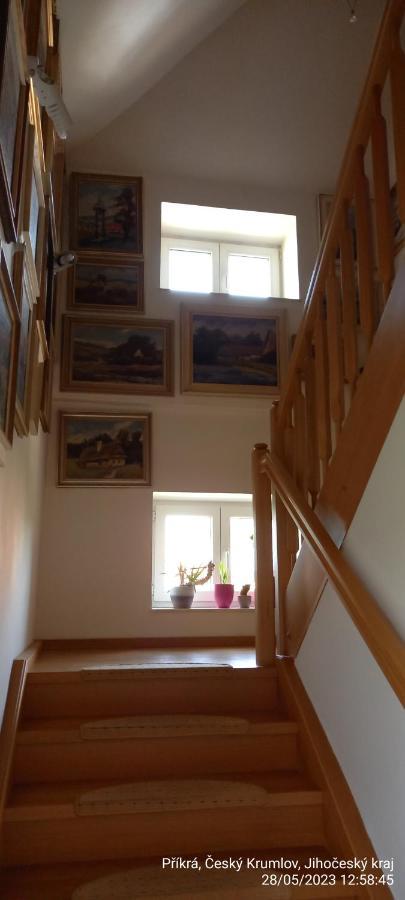 Vila Hesha Apartment Cesky Krumlov Ngoại thất bức ảnh